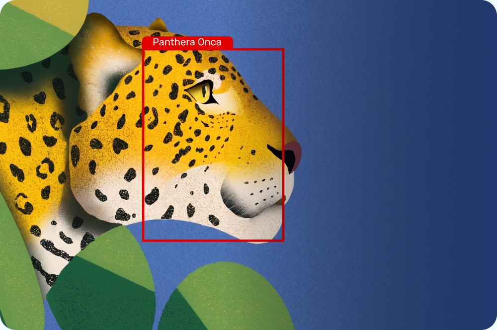 Onça-pintada identificada automaticamente com a etiqueta Panthera onca